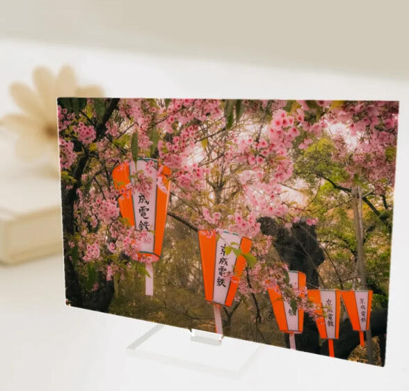 Sakura Japanese Full Bleed Acrylic Standees