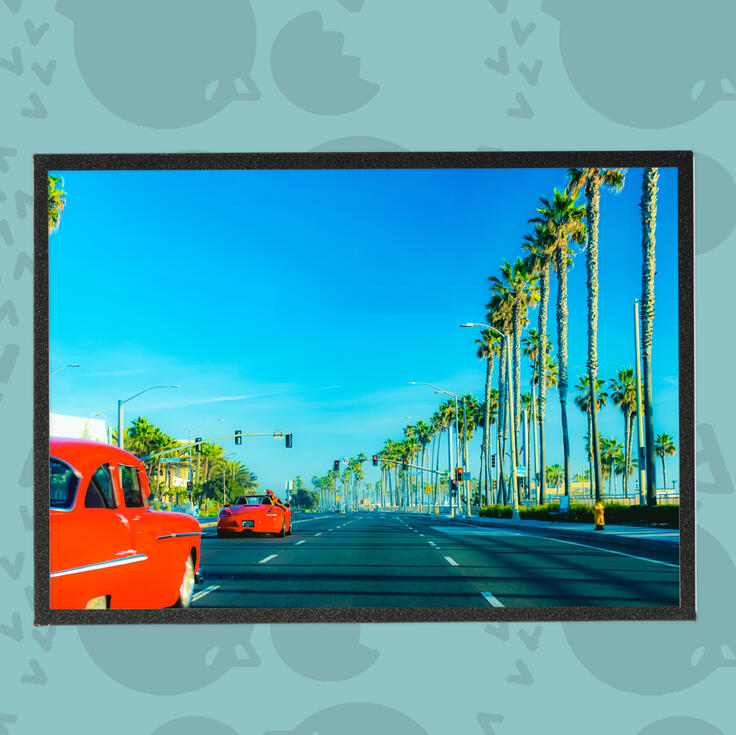 Speeding Reds Photography Art Boards