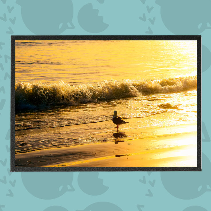 Bird by a Wave Photography Art Boards